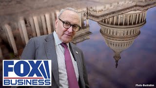 'SCHUMER POSITION': This is not going to work for Americans long-term, lawmaker says