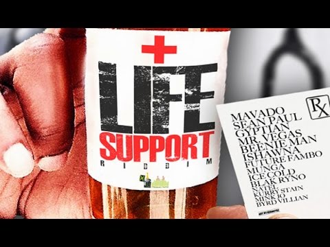 Mavado Blak Ryno Sean Paul Beenie Man & More | Life Support Riddim Mix | 2015