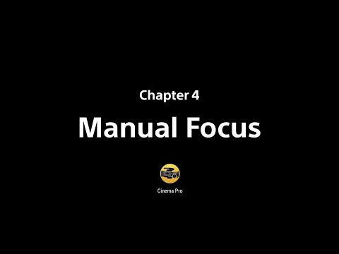 Video preview
