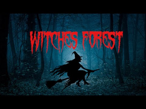 Witches Forest