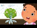 Plant Structures | Science | 1st Grade | Kids Academy