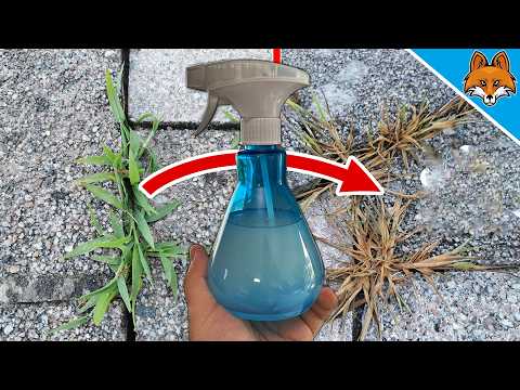 My Neighbors are AMAZED at how EASY it is for me to remove Weeds💥(Ingenious Trick)🤯