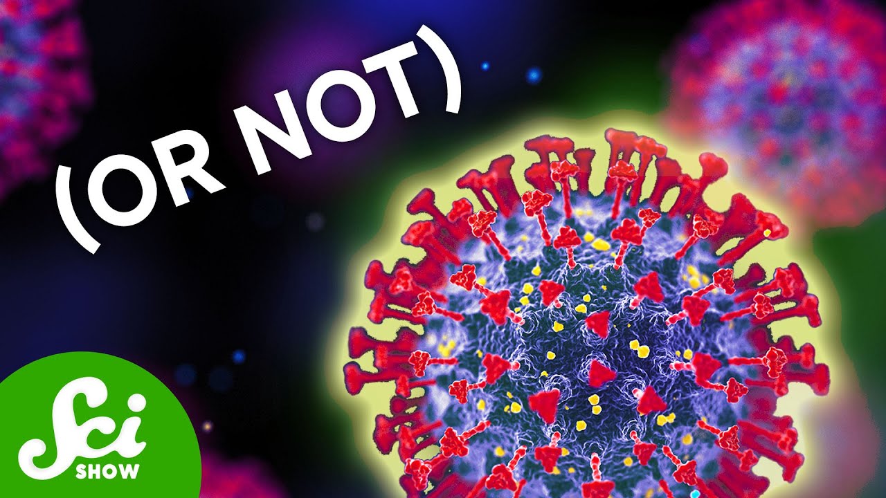Everything You Didn't Want to Know About Viruses | Compilation