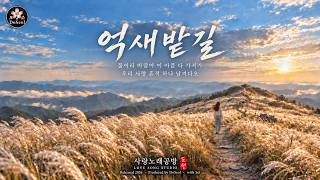 억새밭길 (Silver Grass Road) | 애절한 감성발라드 | 도설 (DoSeol)