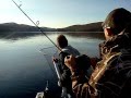 HOW TO CATCH A MONSTER FISH