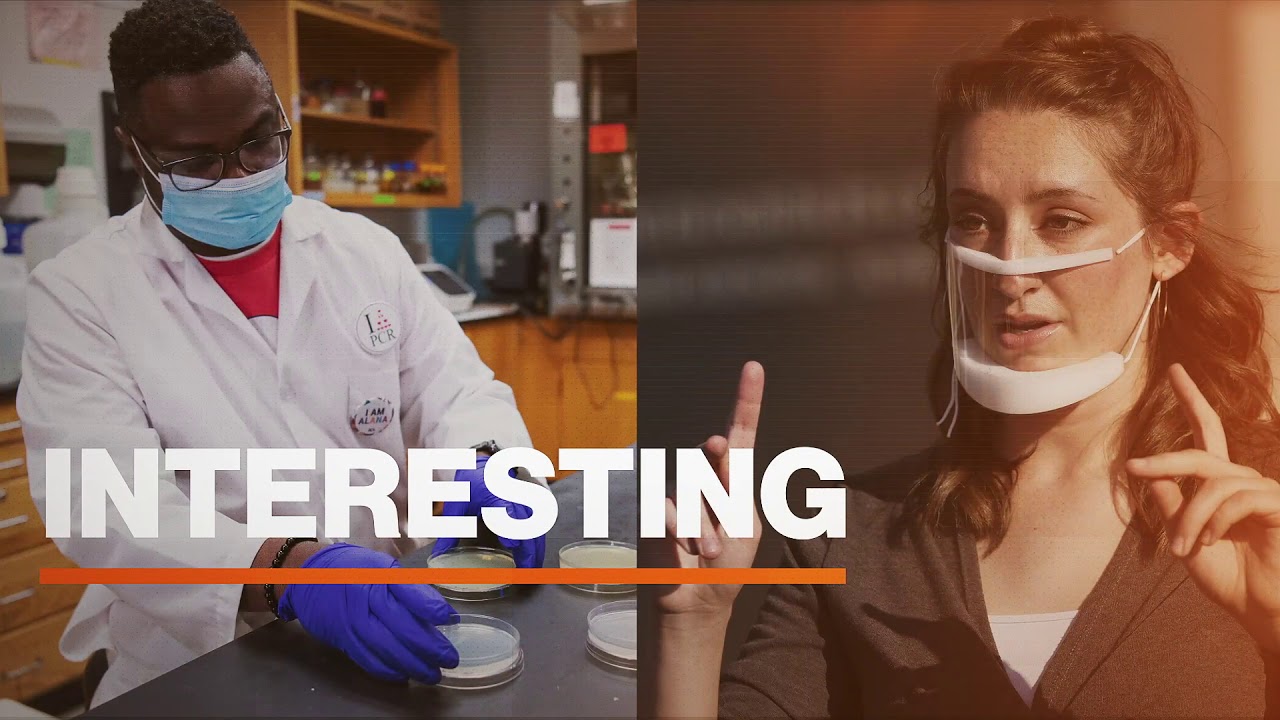 Thank you, Tigers, for persevering