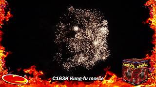 KUNG FU MORČE 16 RAN