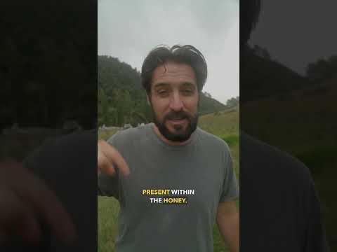 The MGO Scale Explained!