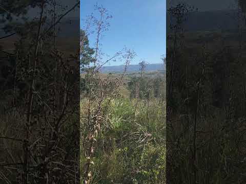 inmobiliaria el faro Vende hermoso lote de 1.500 m2 al valor de 22.000 u$s villa yacanto córdoba.