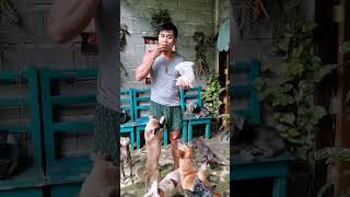 for todays video, magpapakaintayo sa mga aso
