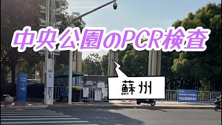 Weiちゃん散歩 #102中央公園でPCR検査の様子を見てみよう