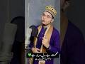 Har Udasi Ka Hal Madina Hai Syed Hassan Ullah Hussaini Madina