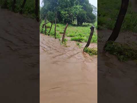 ✅ RIO DA COMUNIDADE DE BARRA DE CIMA ÉRICO CARDOSO BA