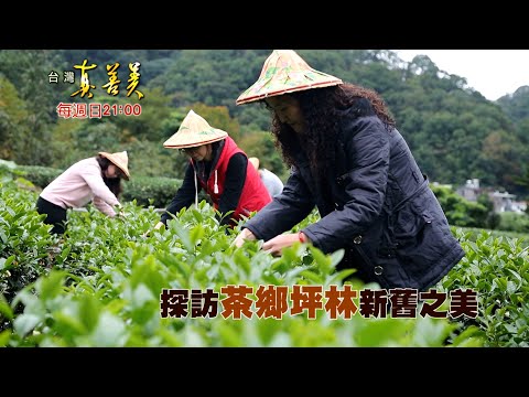 【精彩內容搶先看！】坪林不只有採茶好玩! 新茶農力拚轉型 翻轉茶鄉再創新氣象！
