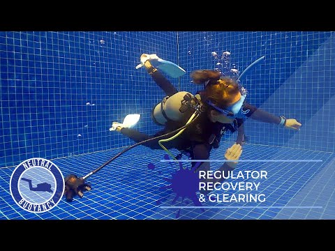How to Recover & Clean a Regulator (Scuba Diving Skills) 🤿 PADI Divemaster Skill Circuit