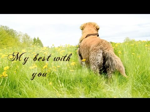 * Happy Birthday Shana *