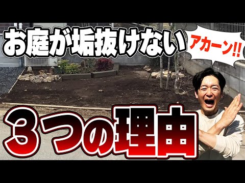 園芸 あなたの庭で写真を撮る