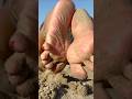 Relaxing So Softly Feet With Soft Sand Happyfeet52 Beach Sand Foot Wiggle