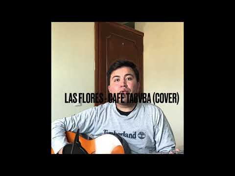 Las flores Cafe Tacvba cover