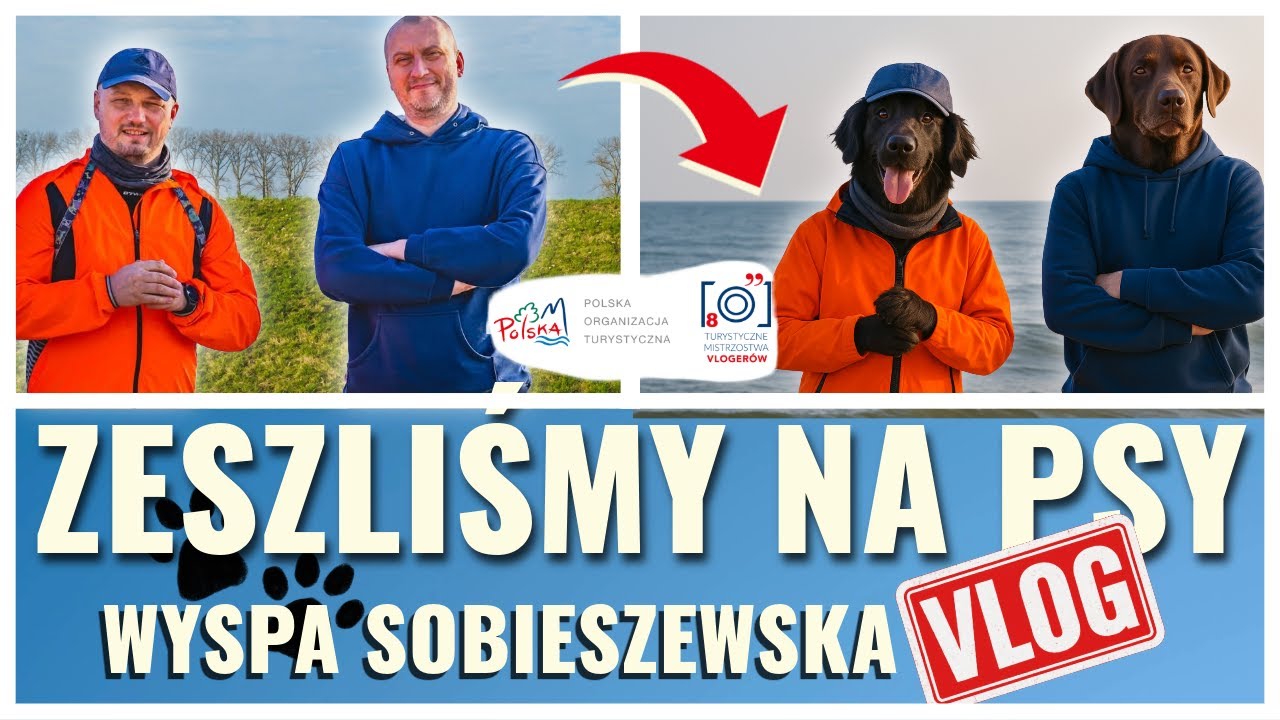 Odkryj raj dla psów w Trójmieście!
