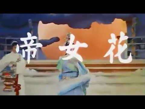 [金屬搖滾x粵劇] 帝女花 - 香夭 | Dai Nu Fa - Fragrant Sacrifice (Metal Cover)