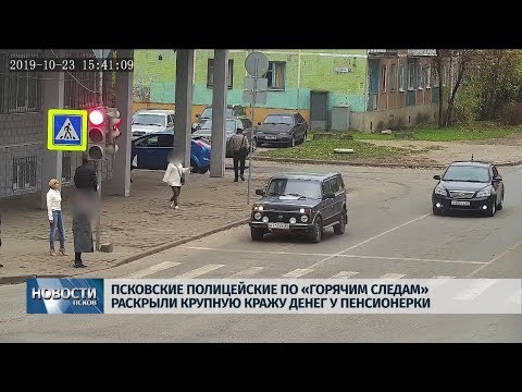 30.10.2019 / Псковские полицейские раскрыли крупную кражу по горячим следам