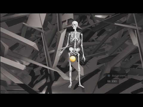 Assassin's creed 2: Tutti i glifi