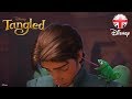 TANGLED | Pascal Funny Moment - Tangled Film Clip | Official Disney UK