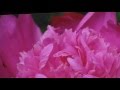 03 45 Abschied (Text: Rainer Maria Rilke; Musik ...
