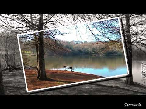 Carl Czerny: Grand Concerto in A minor [Bonynge] Rosemary Tuck, piano