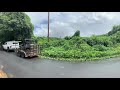 IVY Removal Services in Atlanta