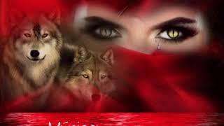 Di Que Volverás.  Los Temerarios