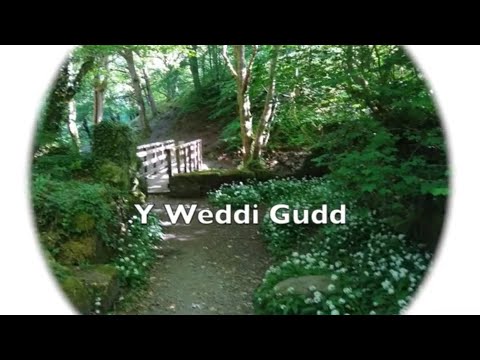 Y Weddi Gudd