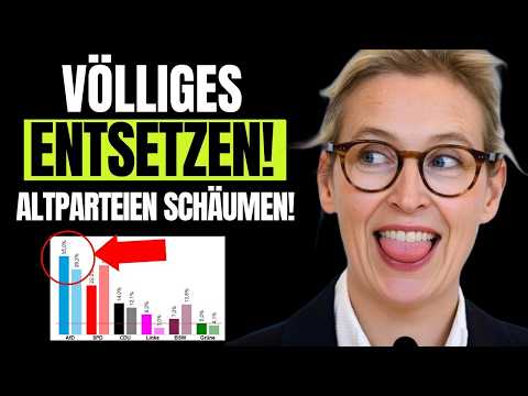 ⚡POLIT-BEBEN! AfD explodiert in Niedersachsen – SPD im freien FALL!⚡