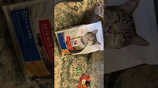 Hill’s Science Diet Oral Care Cat Food Review: Real Dental Benefits or Just Clever Kibble?