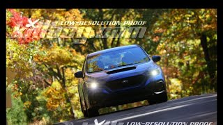 Brasstown Bald Touge (binaural audio | Subaru WRX)