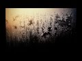York - Iceflowers (feat. Asheni) 