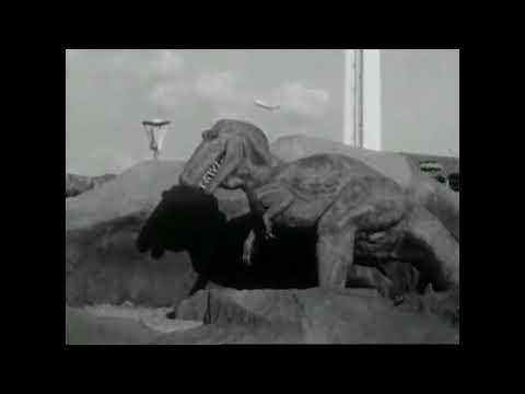 (Footage Video) Ali Whales -  auf moe