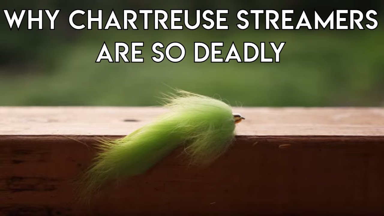 Why Chartreuse Streamers Work for Trout