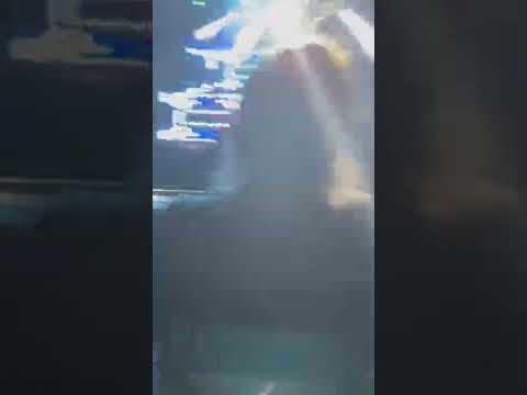 Strand feszt 2022 Metzker Viki es Johanna Csak egy kis strandolás 😂