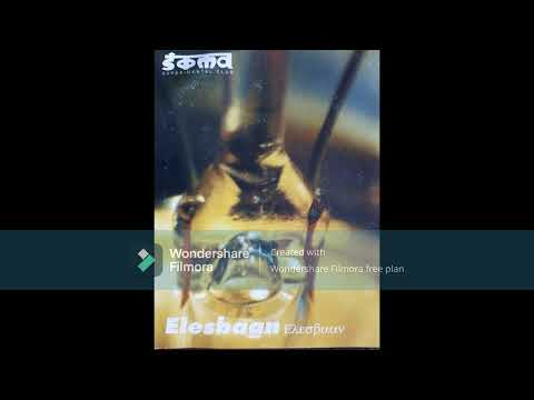 cd regalo Soma experimental club