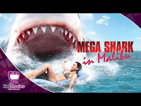MALIBU SHARK ATTACK🍿 Free Full Movie in English 🎬 ACTION | Netmovies - Free Movies