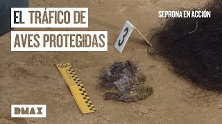 Thumbnail del capítulo