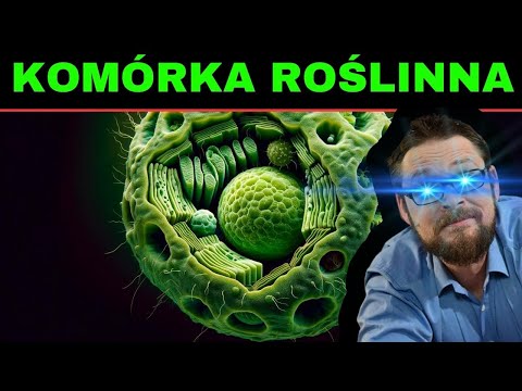 Komórka roślinna, bakteryjna porównanie z komórką zwierzęcą. Na koniec o zasadzie 3s 😉