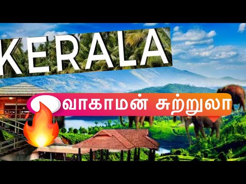 வாகாமன் சுற்றுலா கேரளா| Hanging Bridge #hangingglassbridge #simplyjiya #travel #food #tourism #video