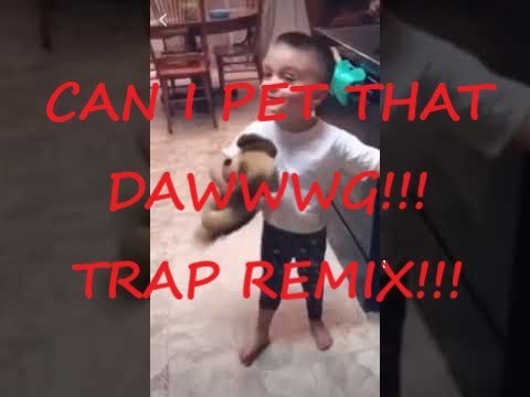 Can I Pet That Dog?!? - TRAP REMIX! (With Dancing Dogs!)