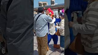 Download lagu JAPANESE WOODY WOODPECKER HIGH-FIVE in UNIVERSAL STUDIOS JAPAN mp3
