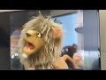 Sesame Street Sing Hoot And Howl Sence 9