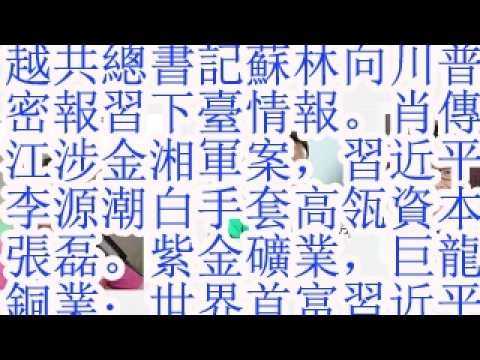 越共总书记苏林向川普密报习下台情报。肖传江涉金湘军案，习近平李源潮白手套高瓴资本张磊。紫金矿业，巨龙铜业：世界首富习近平4000亿美元资产，14大白手套。谷牧的女婿张茅，白玛才旺。陈奎元当年大骂温家宝
