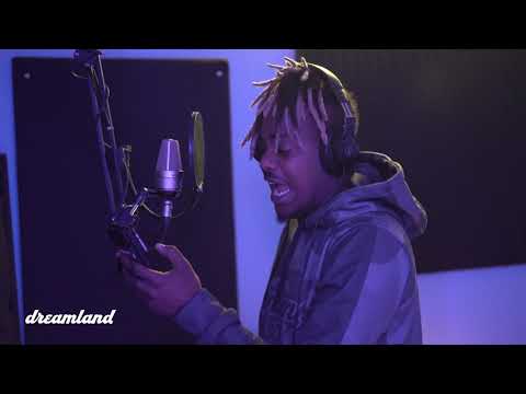 Dreamland Sessions | Dip Black